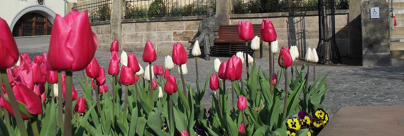 Goethe vorm Amtshaus mit Tulpen