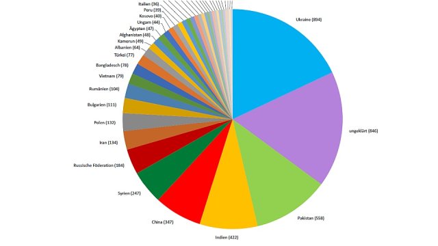 Diagramm Ausländerstatistik per 31.12.2024 (Kachel)