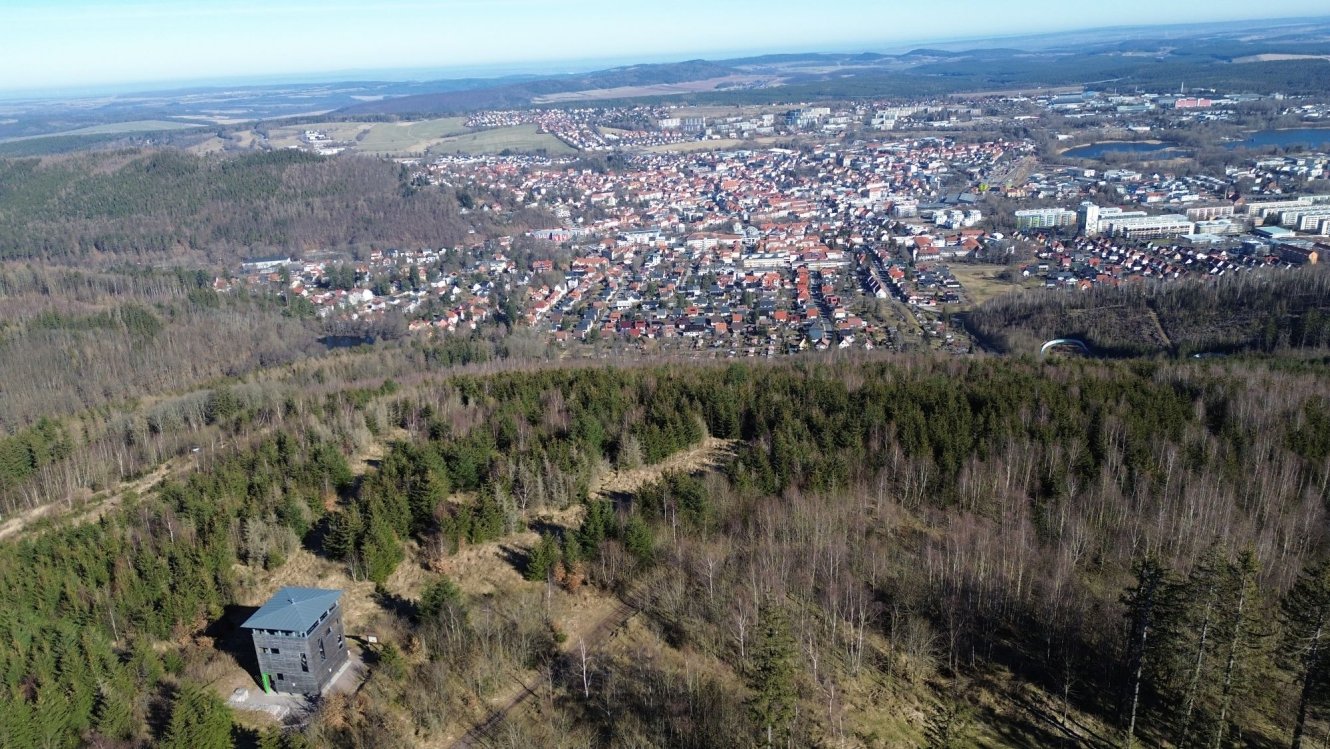 Pflege des Jungwalds hat im Ilmenauer Revier Lindenberg begonnen