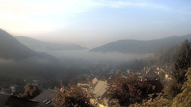 Webcam Manebach - Blick vom oberen Berggrabenweg auf den Ort (September)